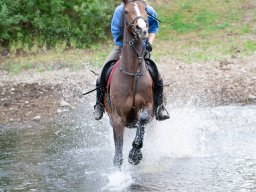 IMG_8329_web